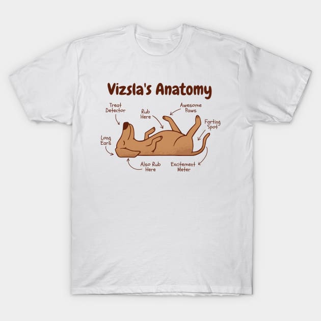 Vizsla dog animal funny anatomy with a funny anatomy chart T-Shirt by Meinersncovert